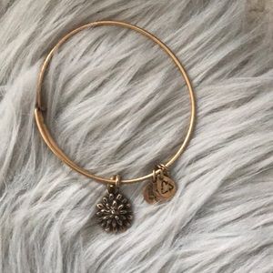 Alex and ani bracelet